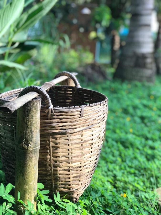 Ben Tre Garden Farmstay Exterior foto