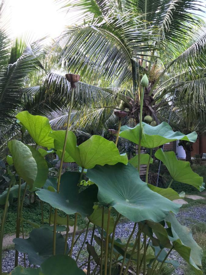 Ben Tre Garden Farmstay Exterior foto