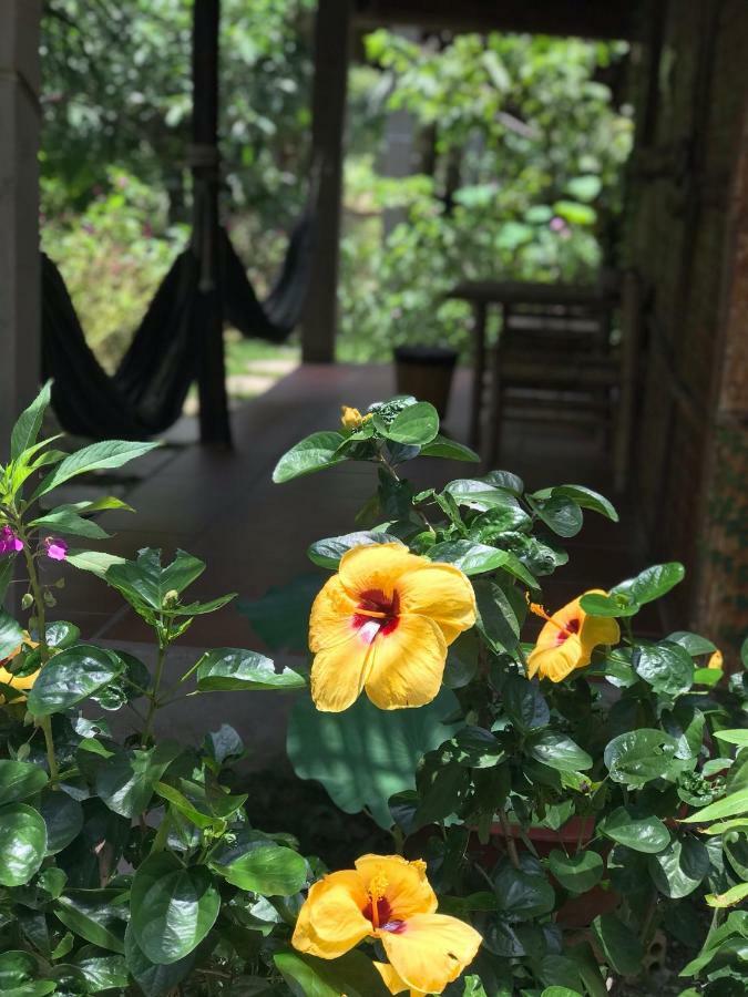 Ben Tre Garden Farmstay Exterior foto